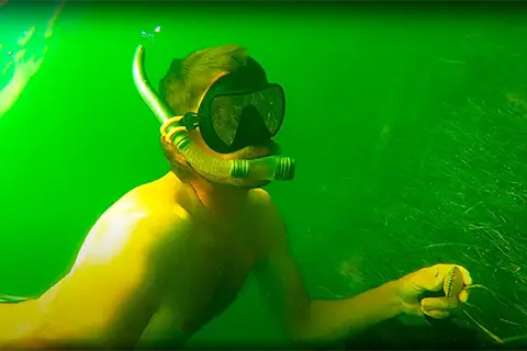 Weeki Wachee Scalloping Trips - Ozzie Winchester